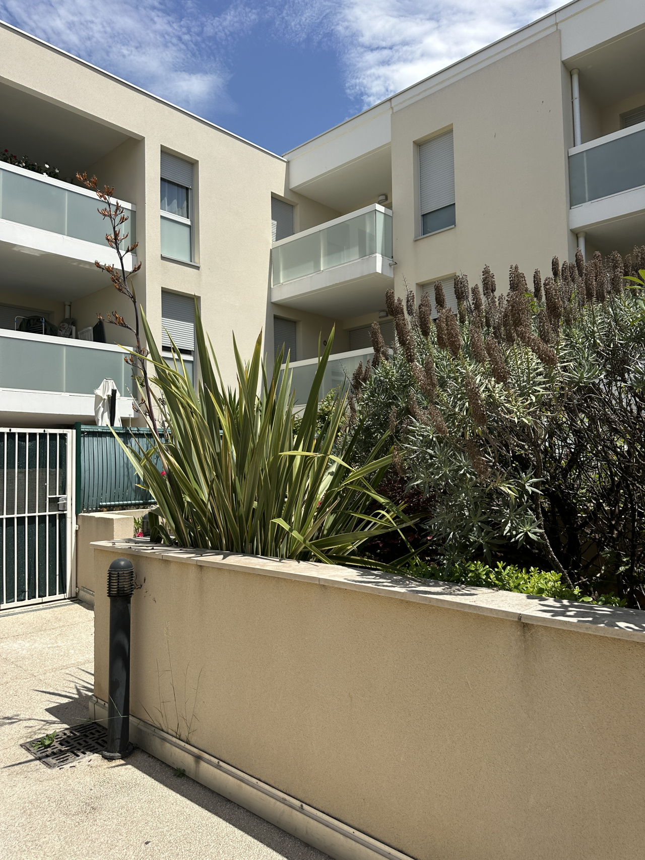 Image_3, Appartement, Marseille, ref :20260707